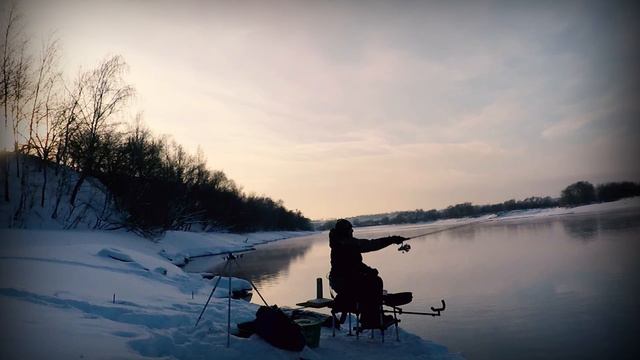 TeamSalmo Dominant Feeder 60 смотреть онлайн