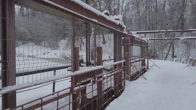 Село Рождествено. Прогулка к плотине, январь смотреть онлайн
