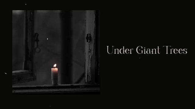 【a Playlist For Tim Burton Vibes】