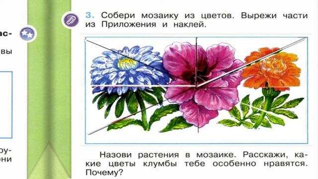 Окружающий мир. Рабочая тетрадь 1 класс 1 часть. ГДЗ стр. 14 №3 смотреть онлайн