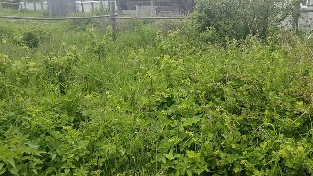 Давно хотел ? Стиральная машинка автомат в доме в деревне ? Юный водитель ? Прокатились по деревне? смотреть онлайн