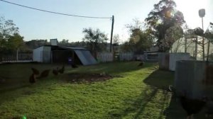 Красивый небольшой участок пермакультуры площадью 10 соток