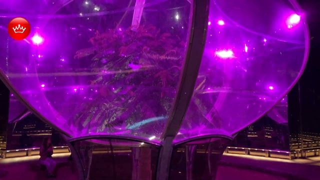 ✨Открытие новой Локации в Парке Галицкого Осень 2021