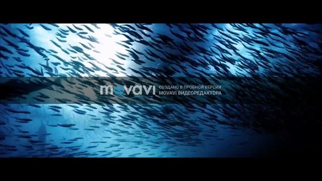 Video js The Player Framework смотреть онлайн
