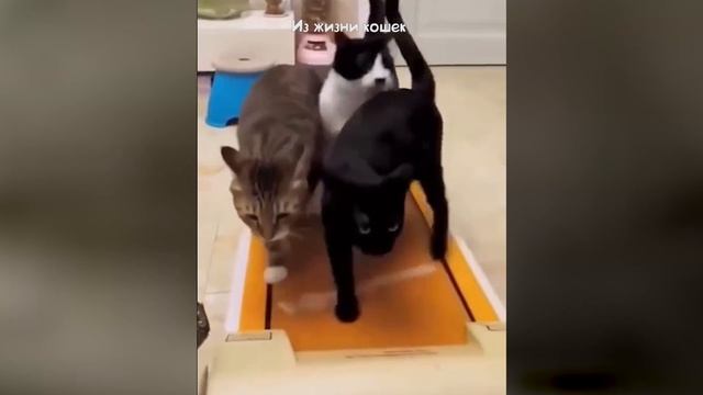 Спорт,спорт,спорт.