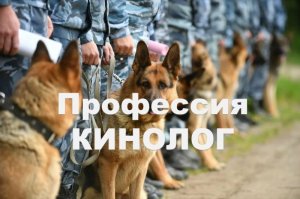 профессия кинолог