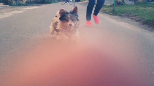 Очень скучаю по тебе....