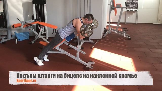 Подъем штанги на бицепс на наклонной скамье смотреть онлайн