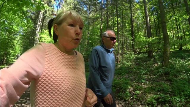 #Вот_и_лето#Черешня#Змея#Лошадки#Волны_вполе#Зелёная_ящерица. смотреть онлайн