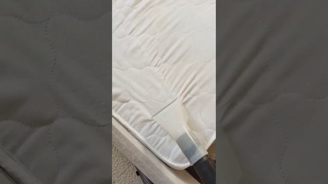 магия выведения старого пятна крови. смотреть онлайн