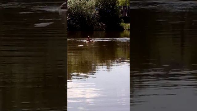 Болото смотреть онлайн