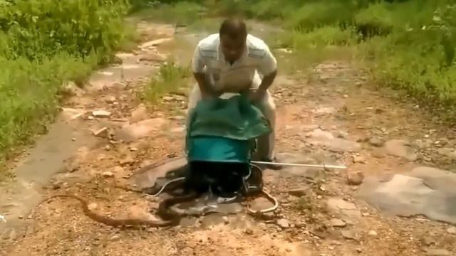 My name is Giovanni Giorgio but. Goodbye seems to be the hardest word (Джованни Джорджио) смотреть онлайн