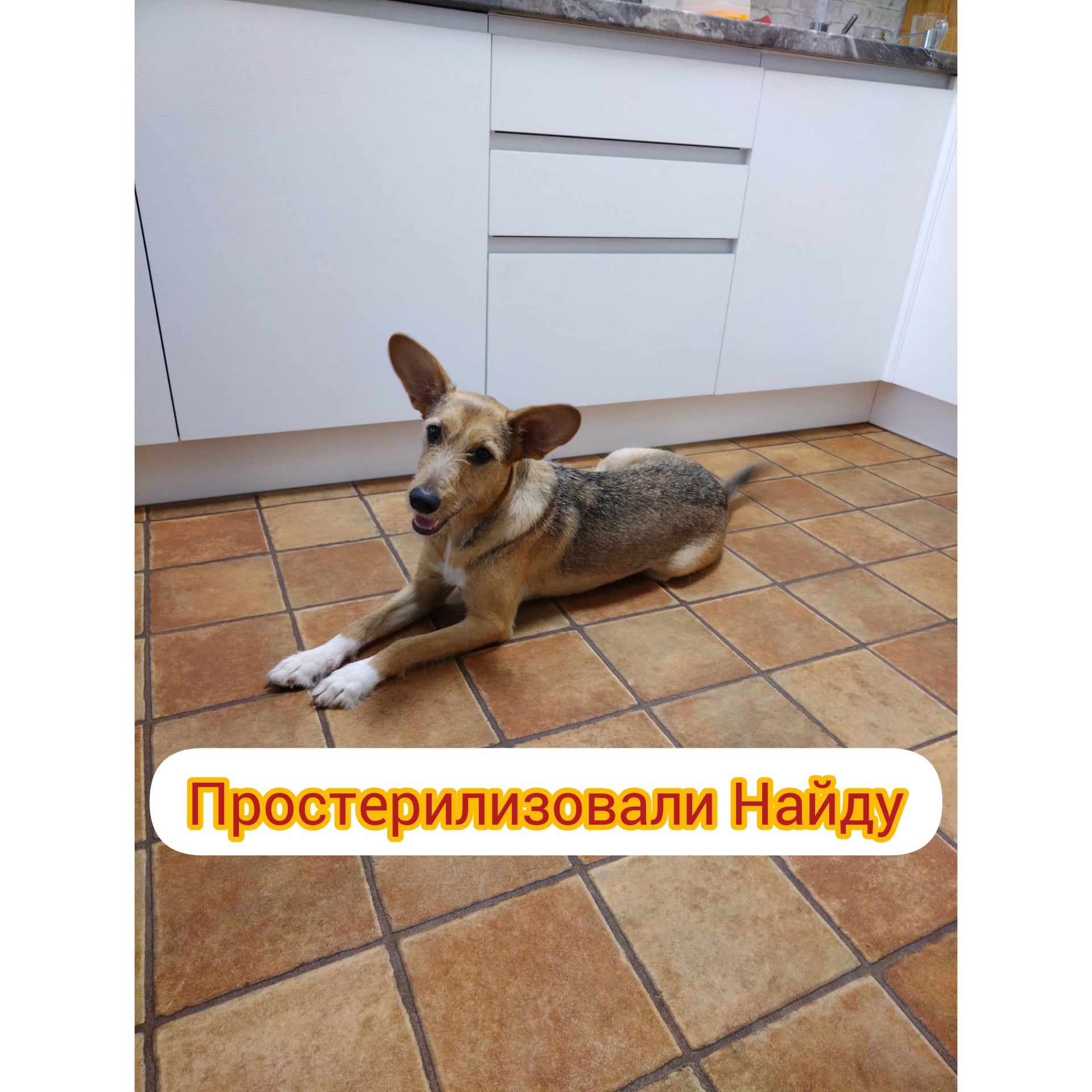 Разбудили в выходной! ?.mp4