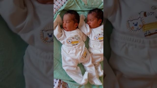 Роды и первые дни двойни, эгизакларнинг туг'илиши ва илк кунлари, giving birth to twins, first days смотреть онлайн