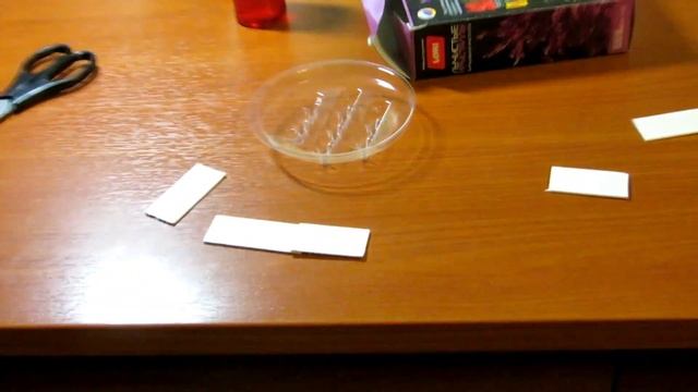 Как вырастить кристалл за 2 дня смотреть онлайн