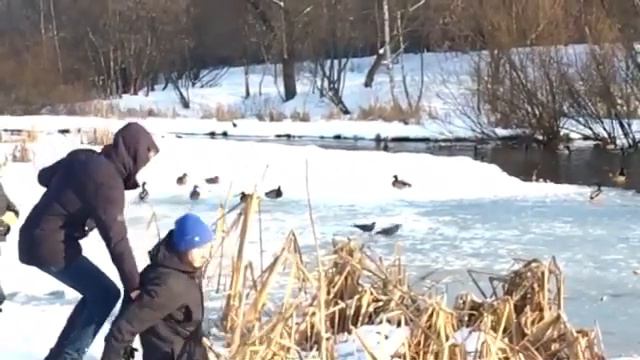 Упал в говно смотреть онлайн
