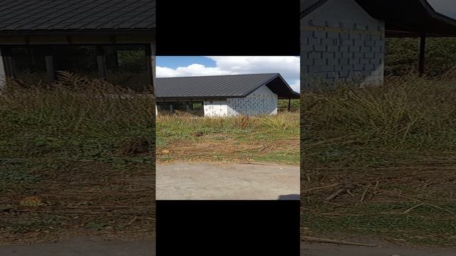 VID_20240916_120644 смотреть онлайн