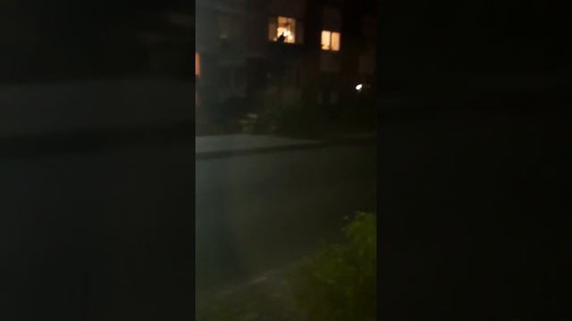 Лось в городе мозыре смотреть онлайн