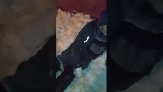 Полицейские из отдела Кировского района"ПЕРМЬ " смотреть онлайн