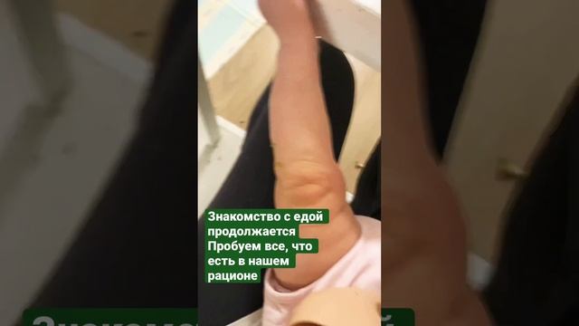 Прикорм, нам, без недели, 6 месяцев смотреть онлайн