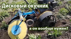 Самодельный дисковый окучник в работе на посадке и обработке картофеля.