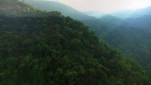 Samelo & Soft Deep - Nostalgia (Original Mix)