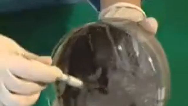 Строительные материалы GCH 2Ca29 04Nd Получение строительного раствора цемента смотреть онлайн