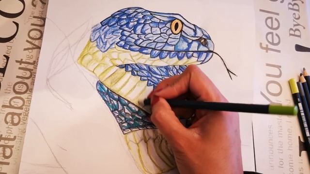 How To Draw A Snake Sketch Step By Step For Beginners| Easy Blue Snake | නිල් පාට සර්පයා| Part 4|Ar смотреть онлайн