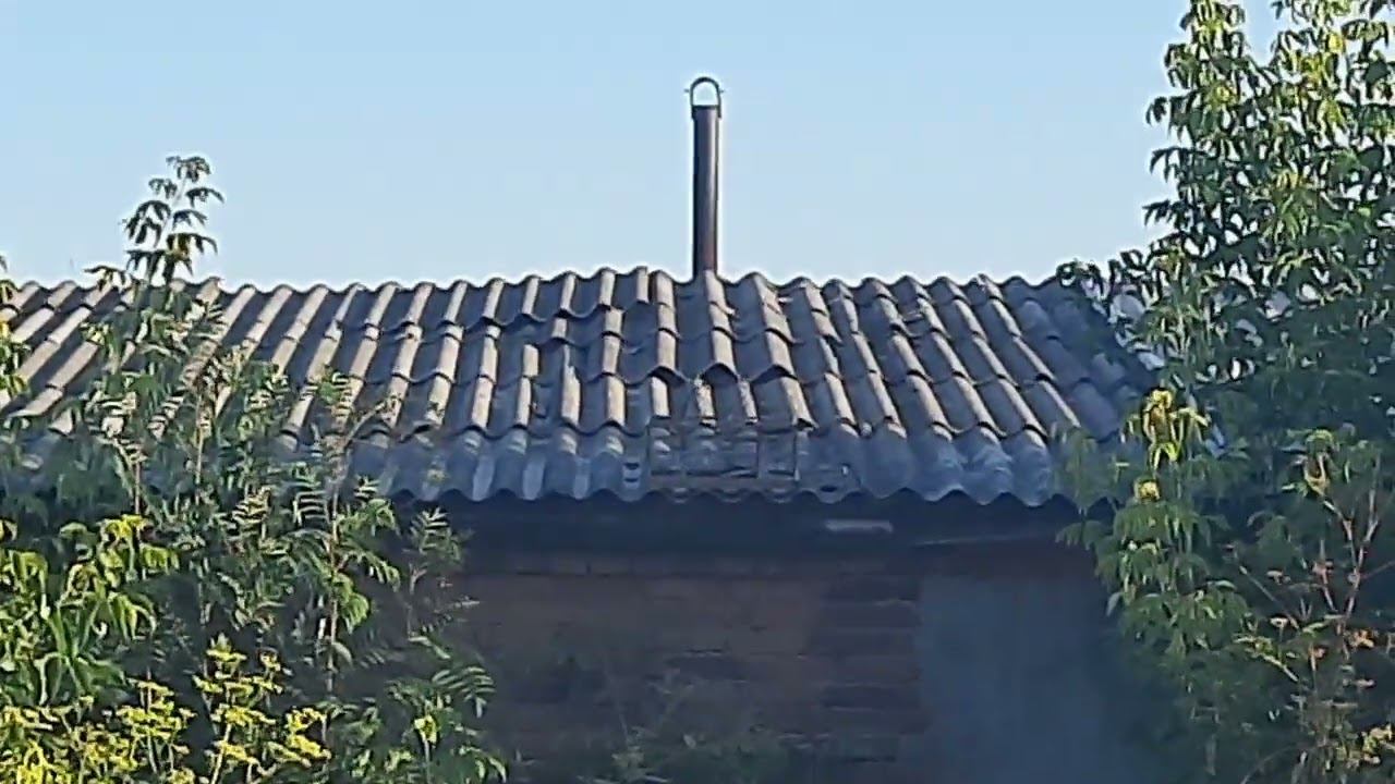 Ловля реполовов на западню 15 августа 2022 год. смотреть онлайн