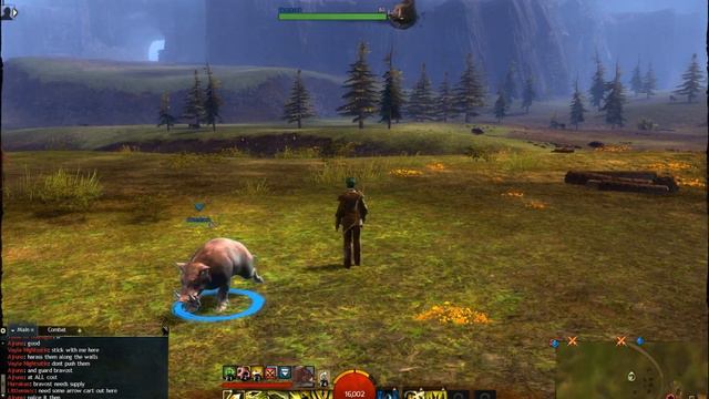 Guild Wars 2 - How to Tame Pets смотреть онлайн