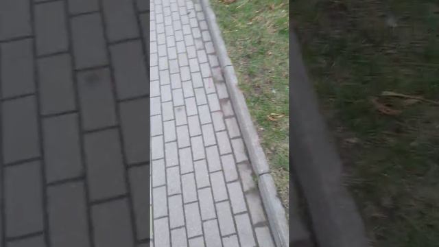 На первом этапе расследования, какие действия!!! КОМУ МЕШАЕТ ИСТИНА В ДЕЛЕ ВЛАДА!!!🤔 смотреть онлайн