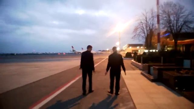 Пингуины ))))) смотреть онлайн