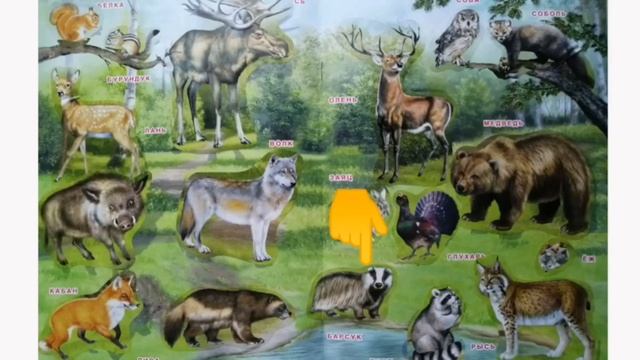 Учимся правильно употреблять падежные окончания смотреть онлайн