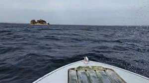 Прогресс 4 с мотором Ямаха эндуро 40 по волнам на Волге в Сызрани