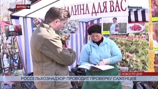 Россельхознадзор начал проверку документов у саженцев смотреть онлайн