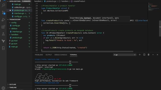 RESTful API in Golang using Echo - new project using POST method saving to mongodb. смотреть онлайн