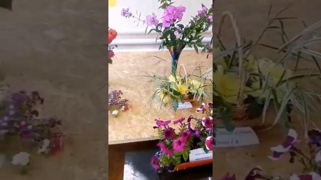 Осенние цветы смотреть онлайн