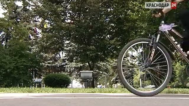 В Краснодаре разрабатывают проект велодорожки с Комсомольского в центр смотреть онлайн