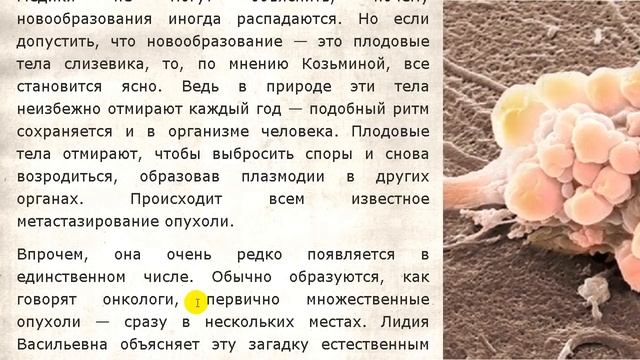 онкология Увы, такова горькая правда нас едят грибы смотреть онлайн