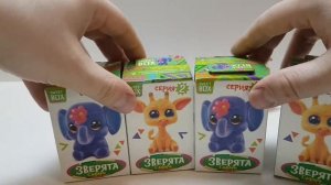 Sweet Box Зверята Сафари