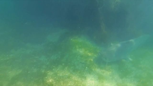 СОМ под ВОДОЙ! КРАСИВЫЕ КАДРЫ! смотреть онлайн