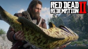 Лучшее место для рыбалки в Red Dead Redemption 2