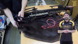 Как сделать тетиву для арбалета | лука | тестирование