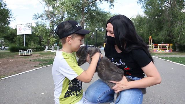 Приют животных Филимоша смотреть онлайн