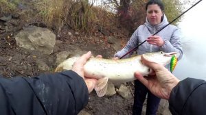 ЗВЕРСКИЙ ЖОР ЩУКИ _ наша лучшая рыбалка на щуку за все года ловли щуки