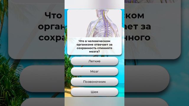 Что в человеческом организме отвечает за сохранность спинного мозга??? смотреть онлайн