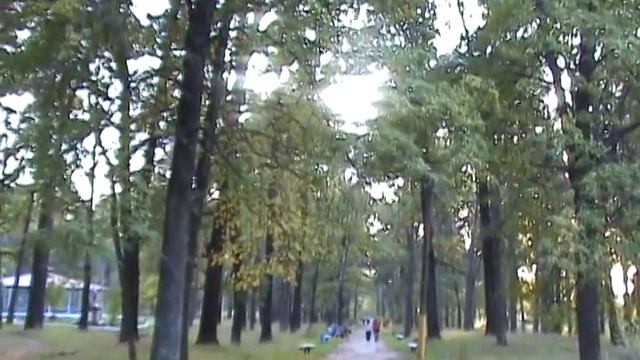 видеоролик о Навле смотреть онлайн