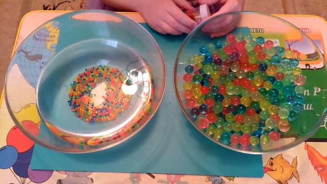 ОРБИЗЫ!!! БОЛЬШИЕ И ОБЫЧНЫЕ!!! ВЫРАЩИВАЕМ В ВОДЕ!!! смотреть онлайн