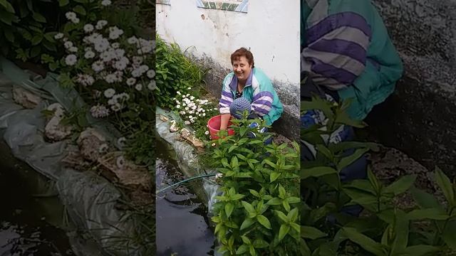 Запускаем карасей смотреть онлайн