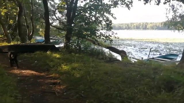 Мемориалы Белых Берегов. Достопримечательности Брянщины. смотреть онлайн